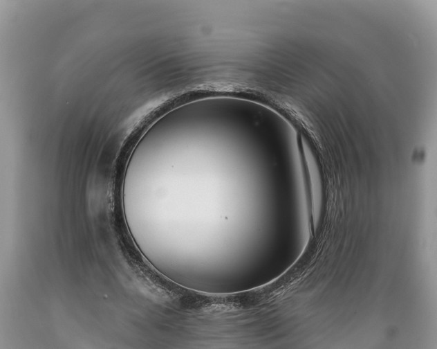 X0000089340536200706221119