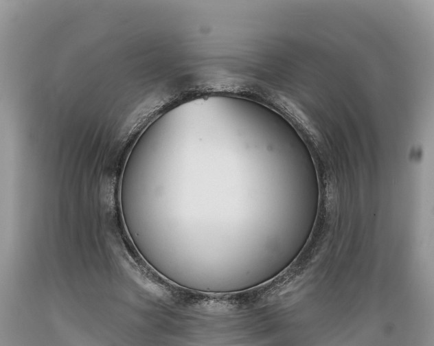 X0000089340537200706221119