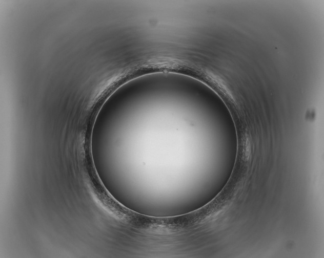 X0000089340538200706221119