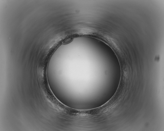 X0000089340539200706221119