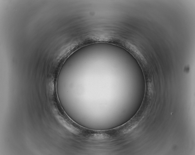 X0000089340541200706221119
