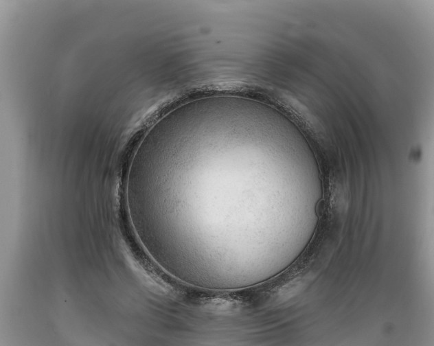 X0000089340542200706221119