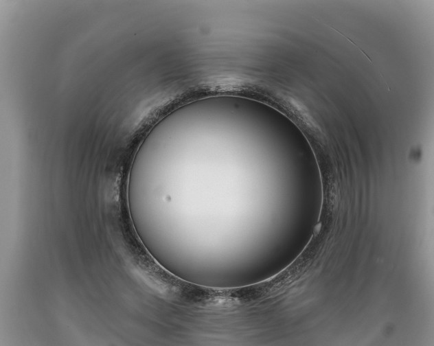 X0000089340543200706221119