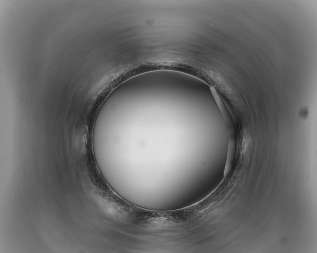 X0000089340544200706221119