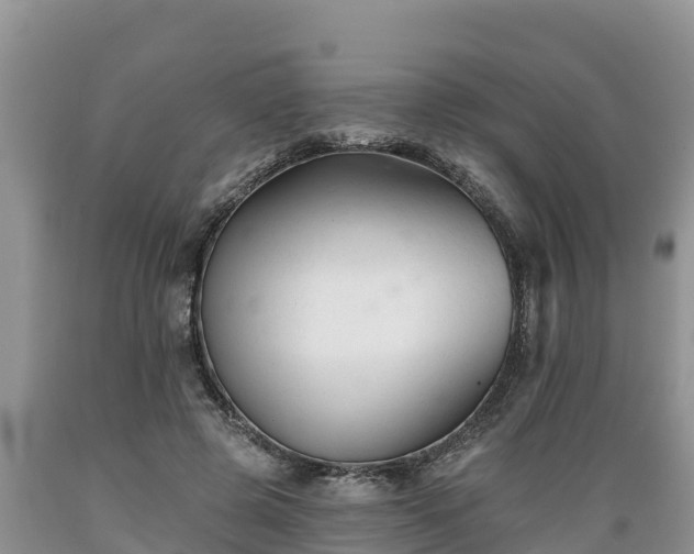 X0000089340545200706221119