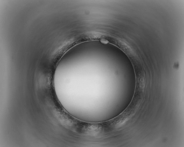 X0000089340546200706221119