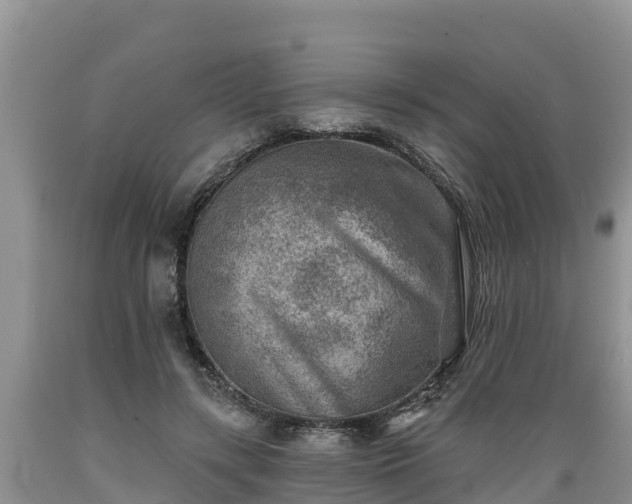 X0000089340547200706221119