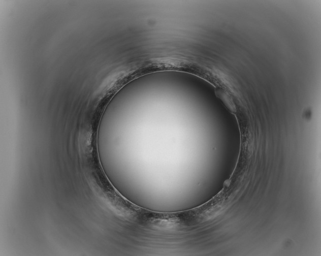 X0000089340548200706221120