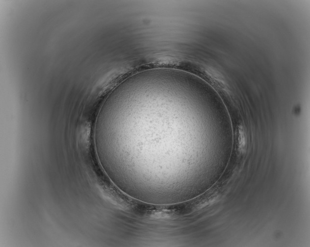 X0000089340550200706221120