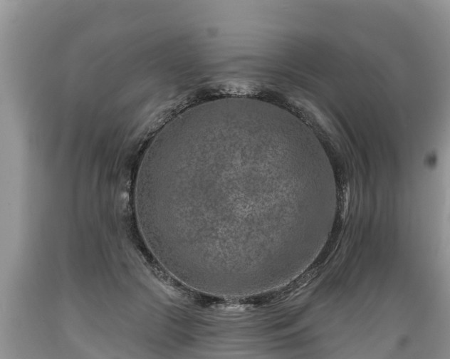 X0000089340553200706221120