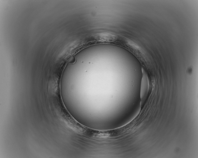 X0000089340554200706221120