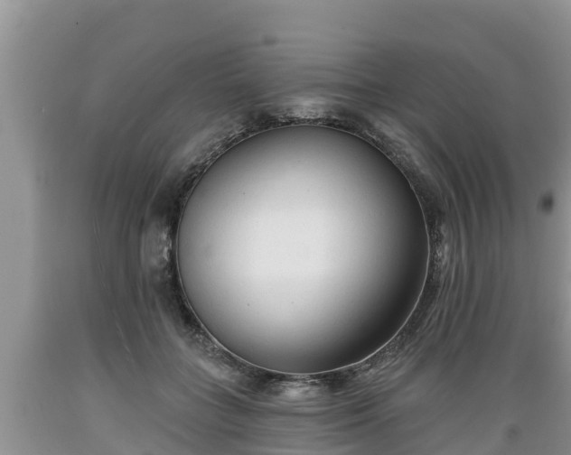 X0000089340555200706221120