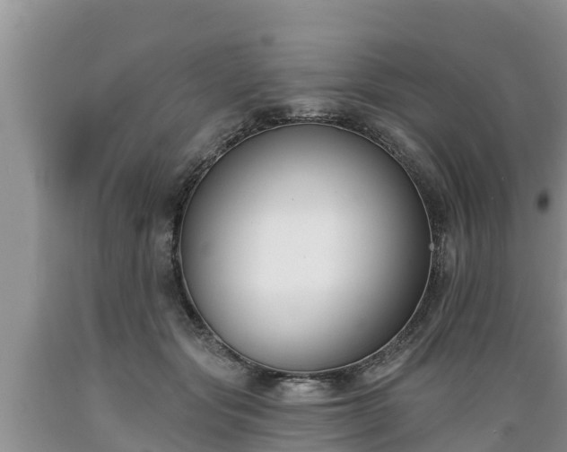 X0000089340557200706221120