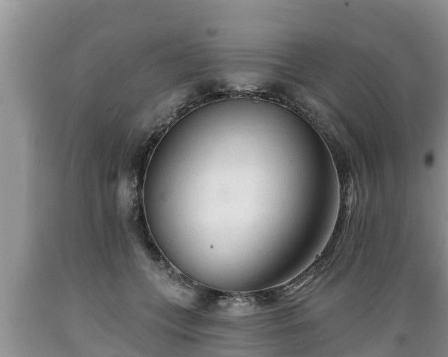 X0000089340559200706221120