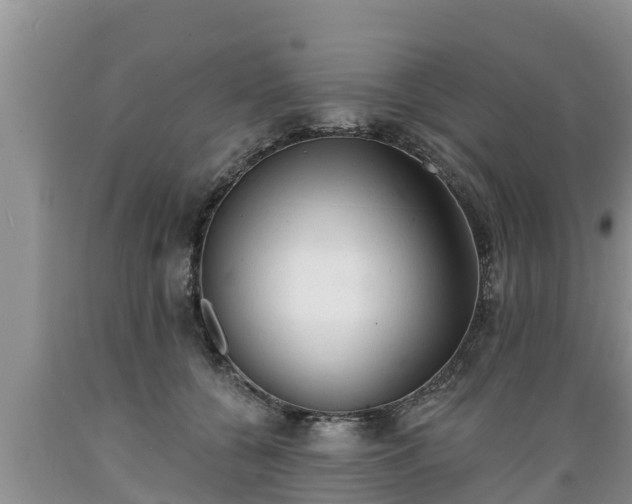 X0000089340560200706221120