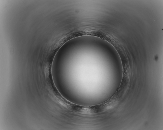 X0000089340562200706221120
