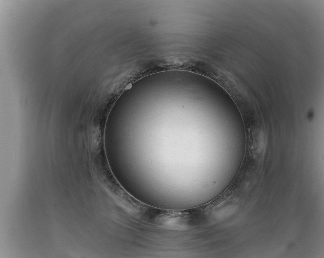 X0000089340563200706221120