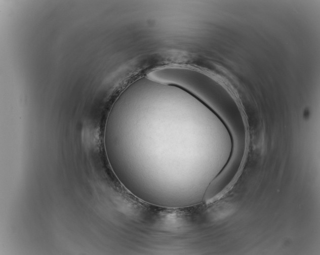 X0000089340564200706221120