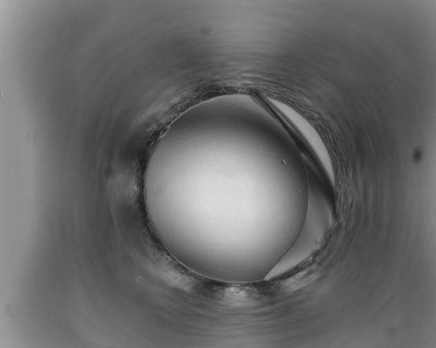 X0000089340566200706221120