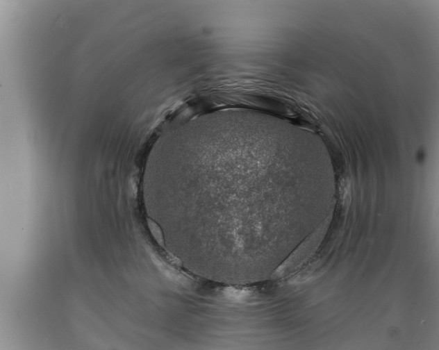 X0000089340570200706221120