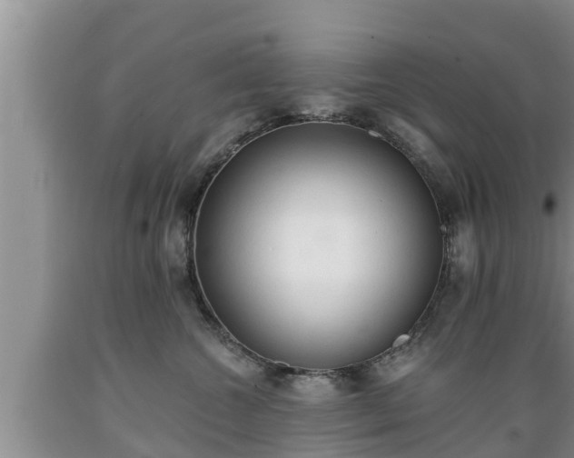 X0000089340572200706221120