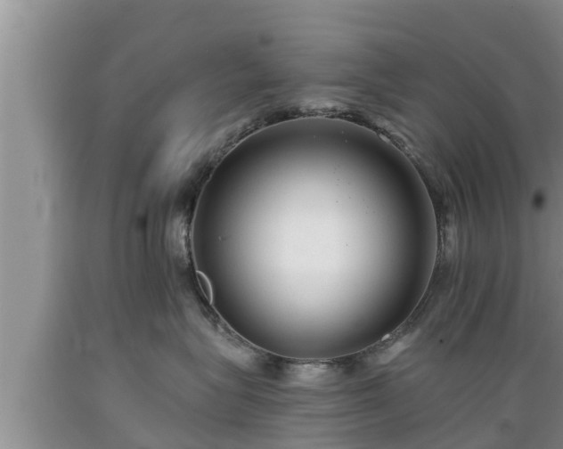 X0000089340575200706221120