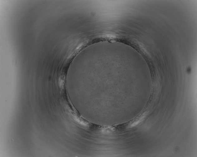 X0000089340576200706221120