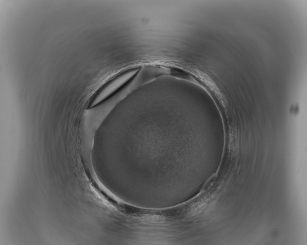 X0000089340577200706221119