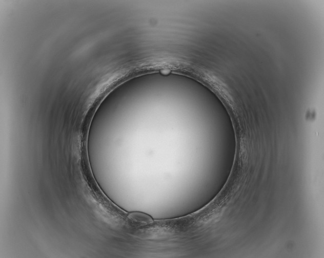 X0000089340578200706221119
