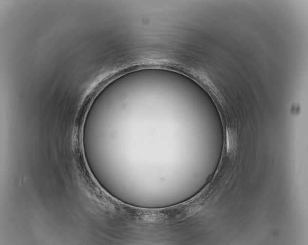 X0000089340579200706221119