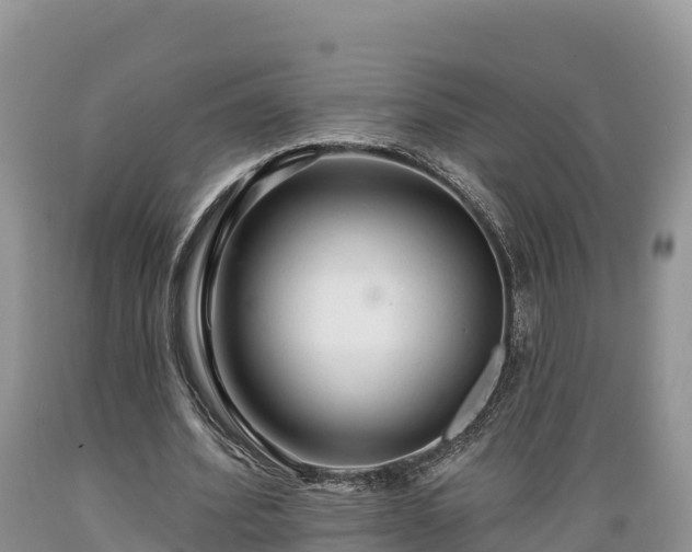 X0000089340580200706221119