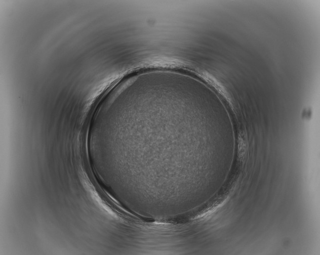 X0000089340581200706221119