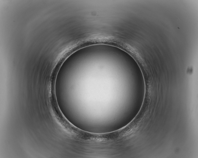 X0000089340582200706221119