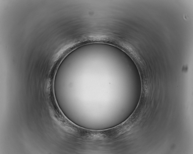 X0000089340583200706221119