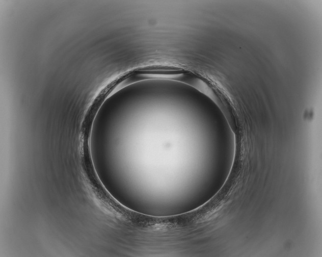 X0000089340584200706221119