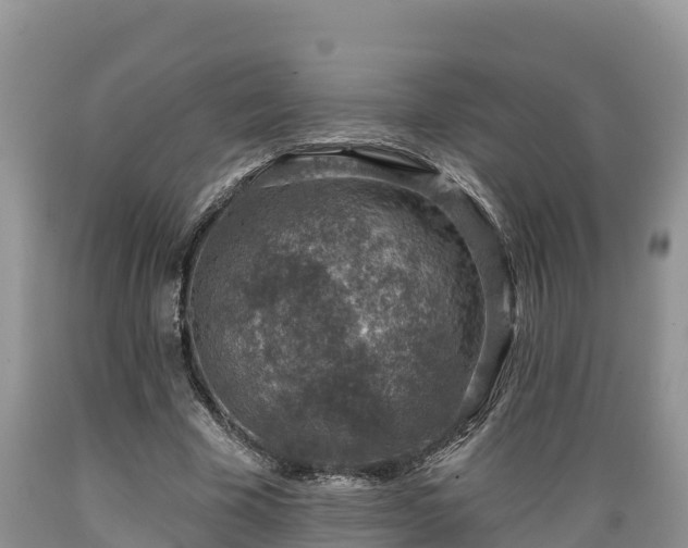 X0000089340585200706221119