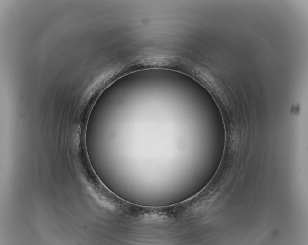 X0000089340586200706221119