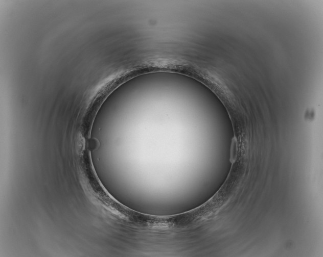 X0000089340587200706221119