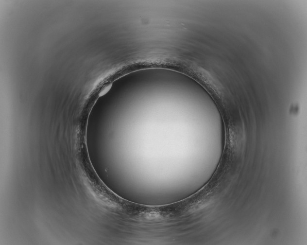 X0000089340588200706221119