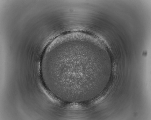 X0000089340589200706221119
