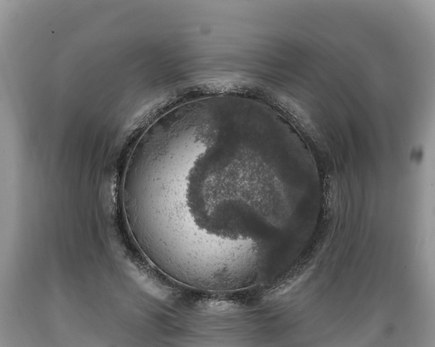 X0000089340590200706221119