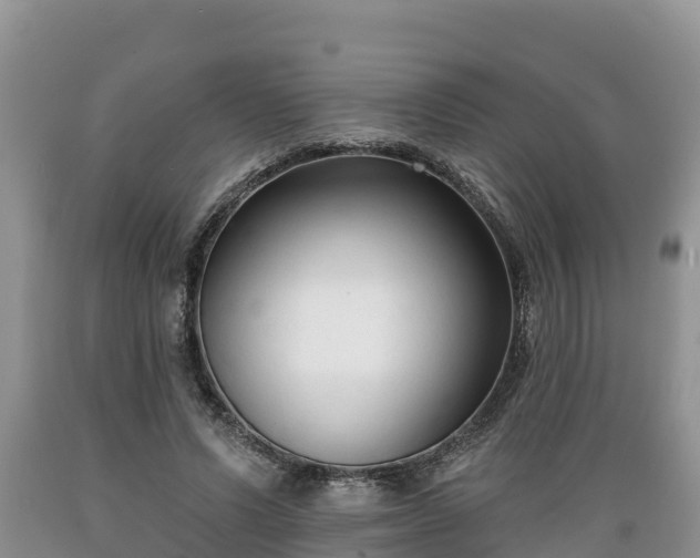 X0000089340591200706221119
