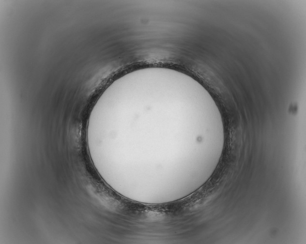 X0000089340592200706221119