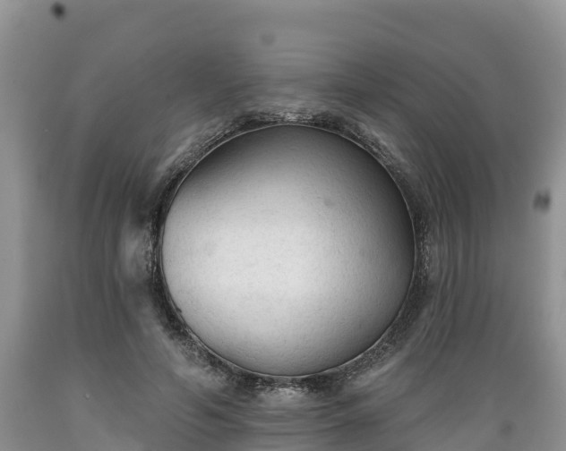 X0000089340594200706221119