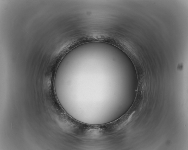 X0000089340595200706221119
