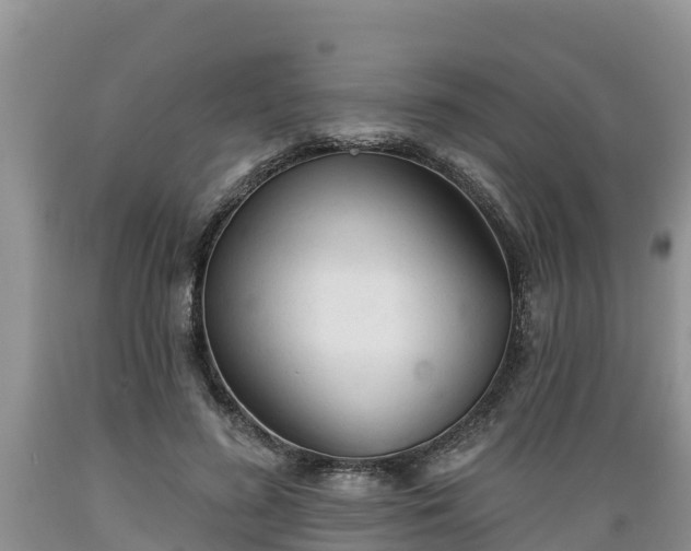X0000089340596200706221119