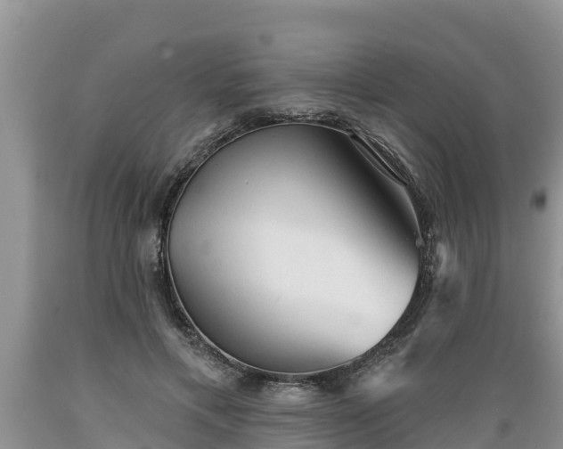 X0000089340597200706221119