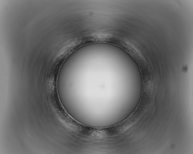 X0000089340599200706221119