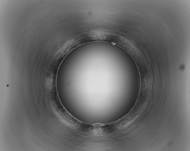 X0000089340600200706221119