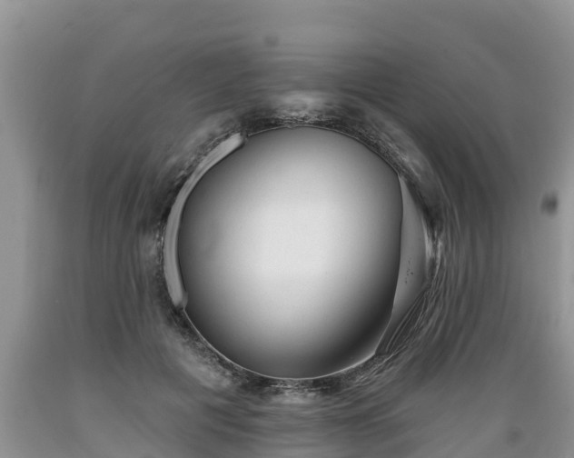 X0000089340601200706221119